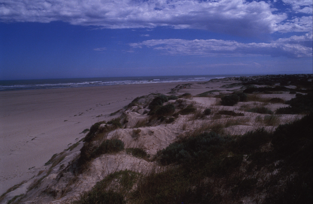 Coorong-01