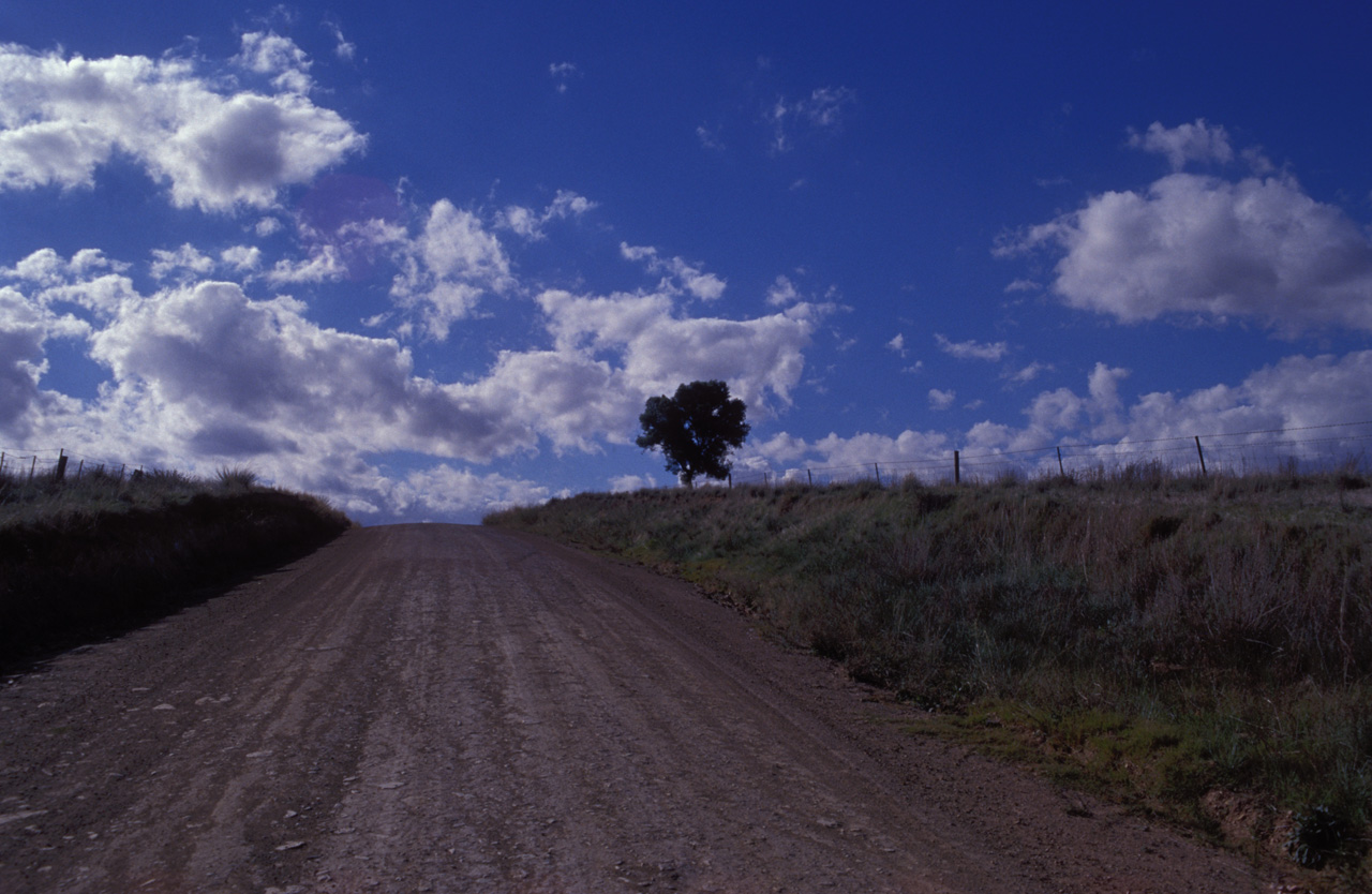 Fattoria-Isobel-strada-01