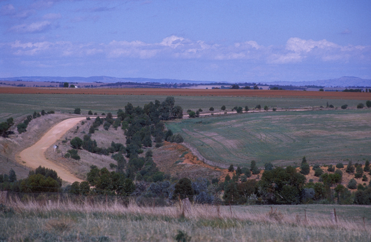 Fattoria-Isobel-veduta-01