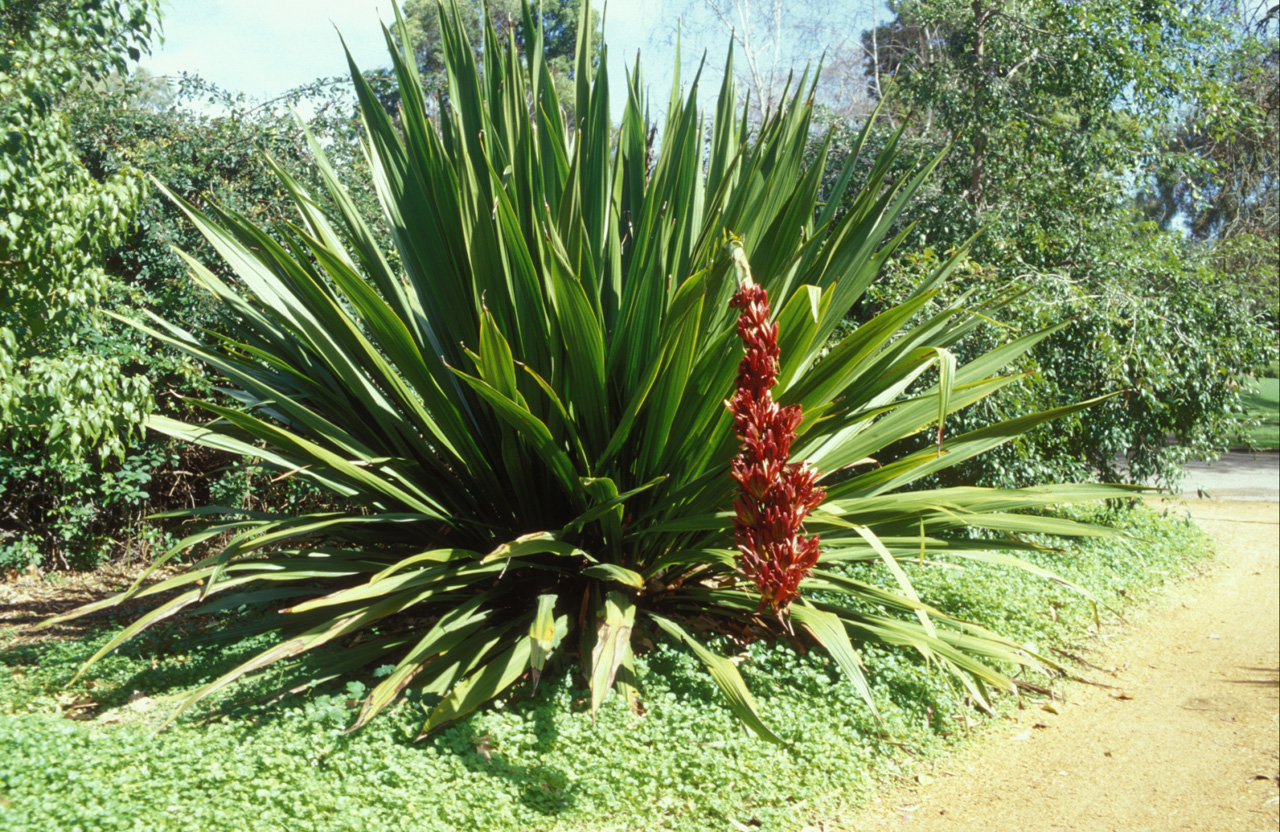 Giardino-botanico-01