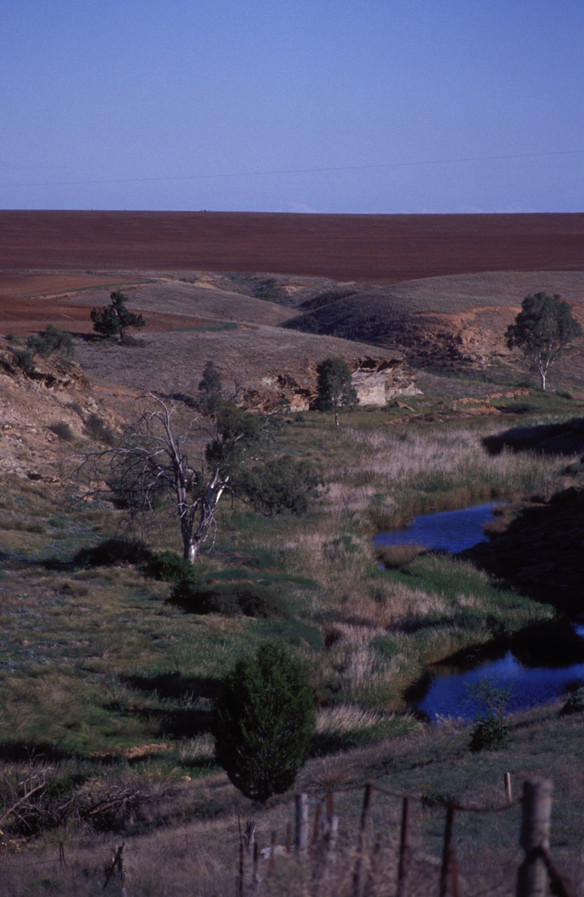 La-campagna-di-Isobel-01