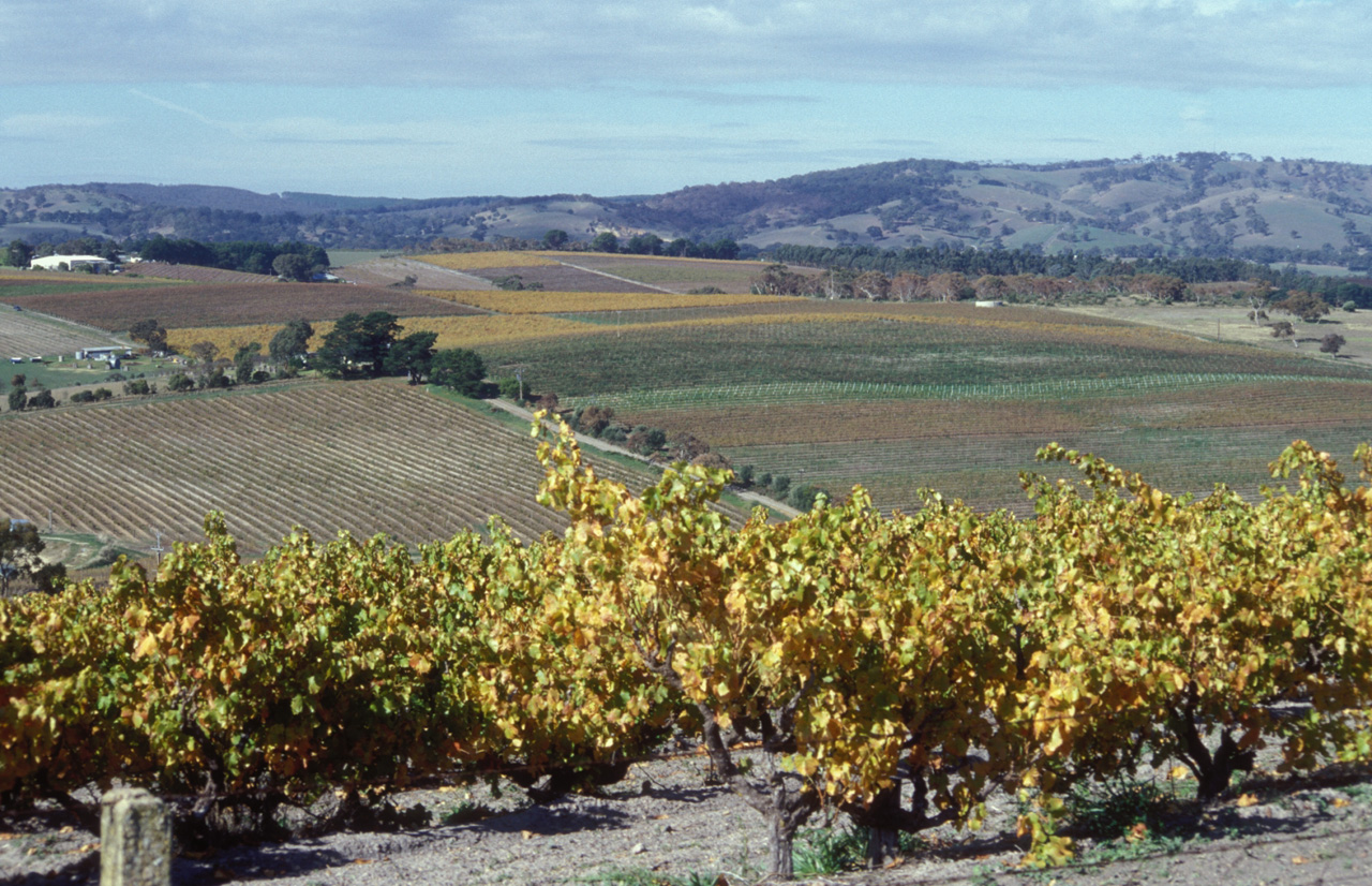 McLaren-Vale-04