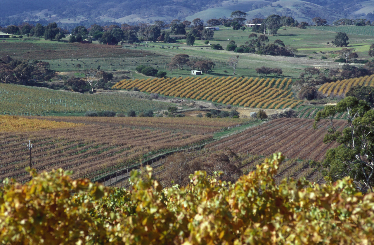 McLaren-Vale-05