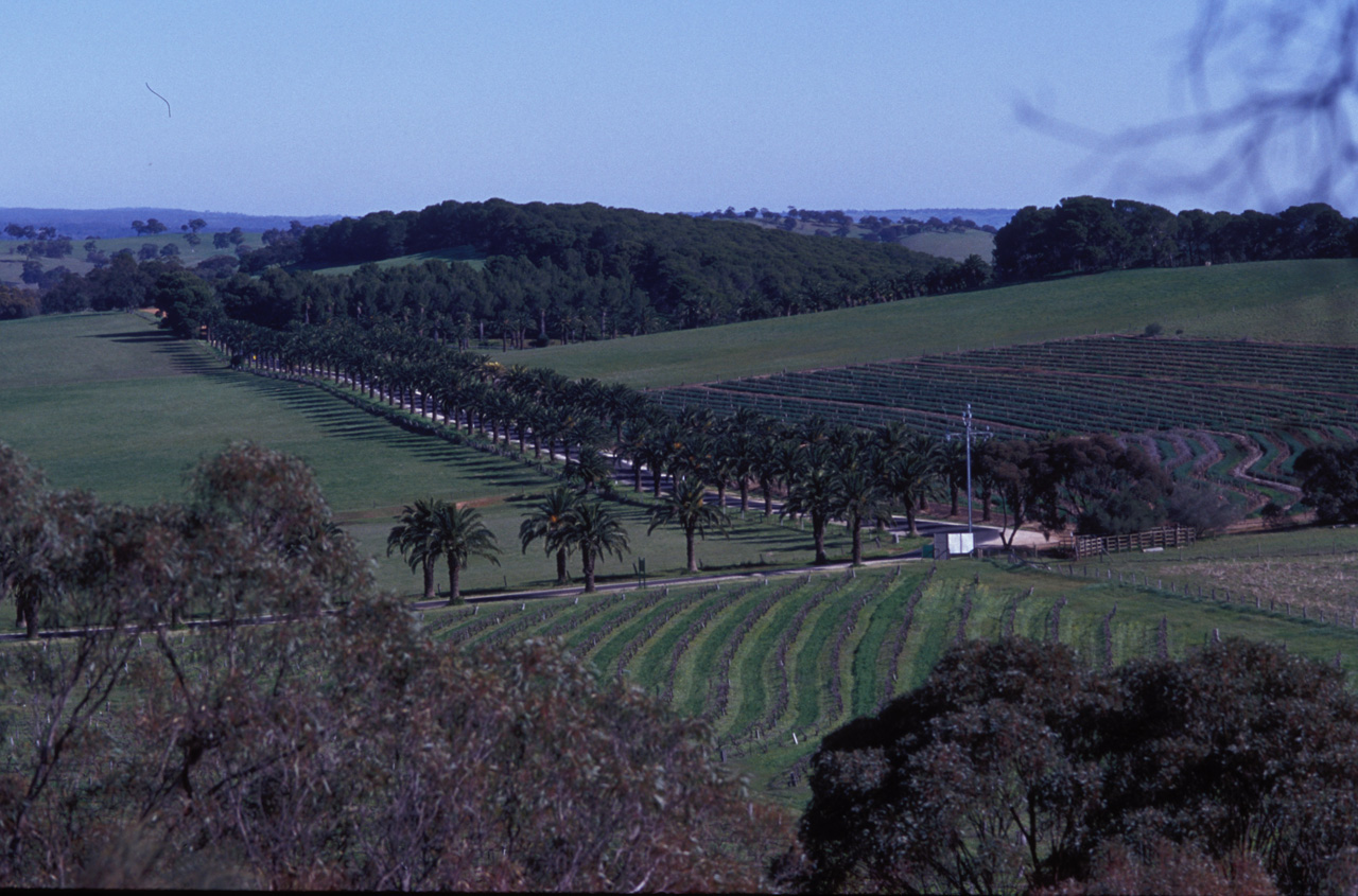 McLaren-vale-001