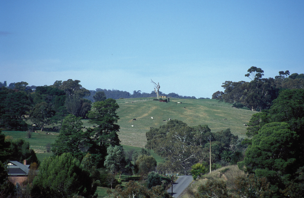 Tra-le-colline-001