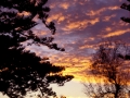 Tramonto-a-Glenelg-002