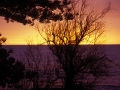 Tramonto-a-Glenelg-017