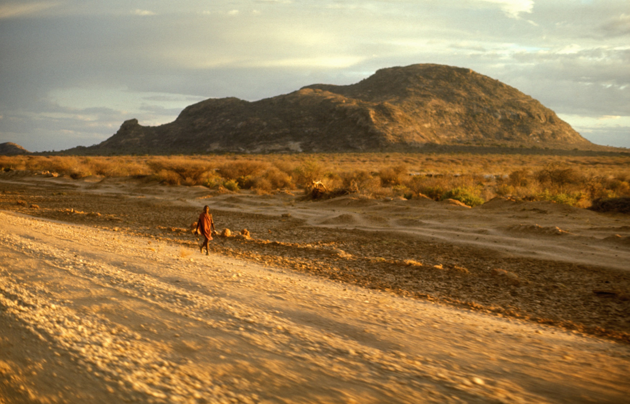 Il-primo-Samburu-01