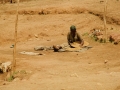 Mercato-etiopico-di-Harar-01c