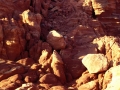 Rocce-che-aspettano-il-tramonto-03