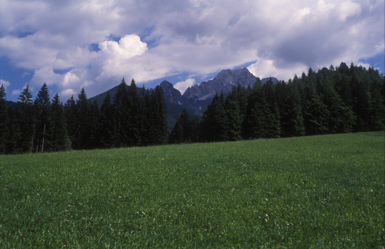 Kranjska-Gora-009